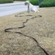 thumbnail image 2 of Correa para perros EasyEase de 3 m con 2 asas acolchadas suaves reflectantes, 2 of 6