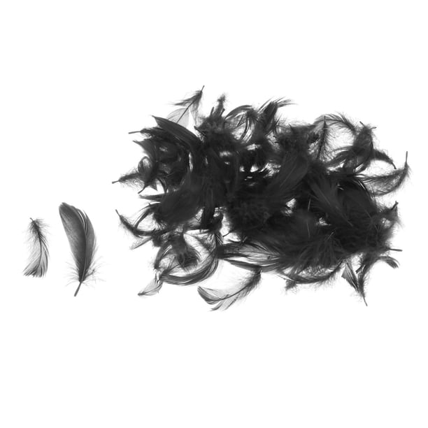 Plumas de ganso naturales de colores de 6 a 8 cm para manualidades, decoración de bodas y fiestas. Negro