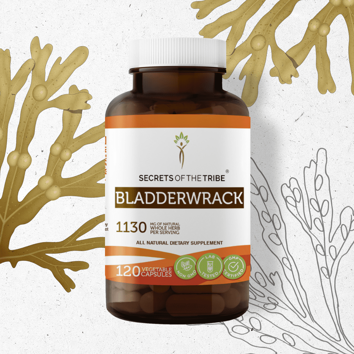 Secrets of the Tribe Bladderwrack 120 Capsules, 565 mg, Organic