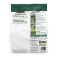 Pennington Kentucky 31 Tall DHF10 Fescue Penkoted Grass Seed 3 lb