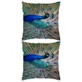 thumbnail image 1 of Monstrate Funda de cojín de terciopelo elegante, funda de almohada de textura fina con estampado verde pavo real moderno, cierre de cremallera Decoración del hogar QJB4256, 1 of 6
