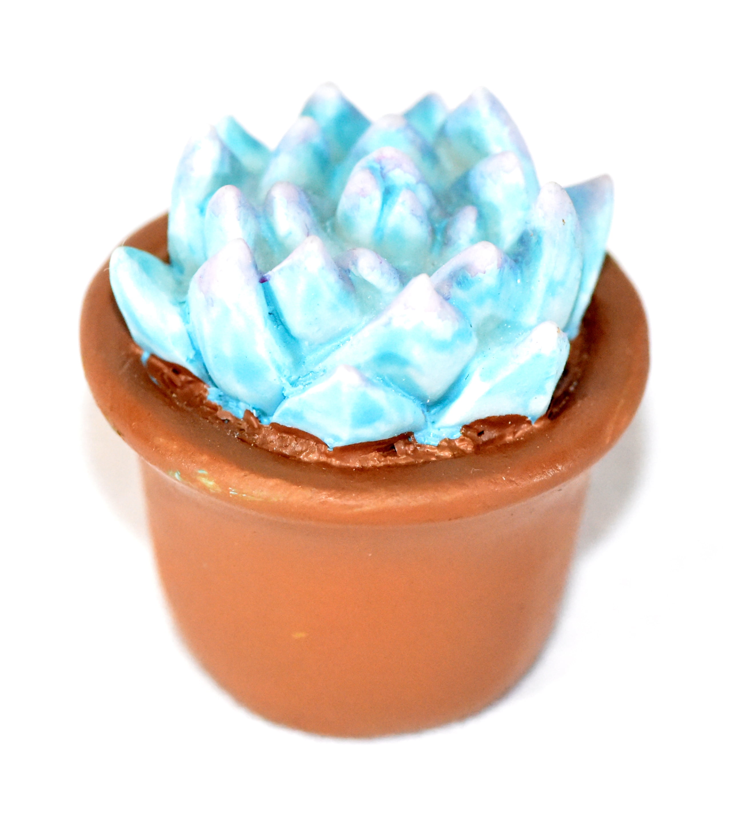 4-Pieces Mini Gardenn Fairy Garden Miniature Succulent Plants Set