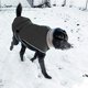 thumbnail image 2 of Abrigo de invierno para perros, chaqueta cortavientos para perros, chaleco para perros con cuello cálido, conjunto con capucha para perros pequeños, medianos y grandes (negro, XXXL), 2 of 5