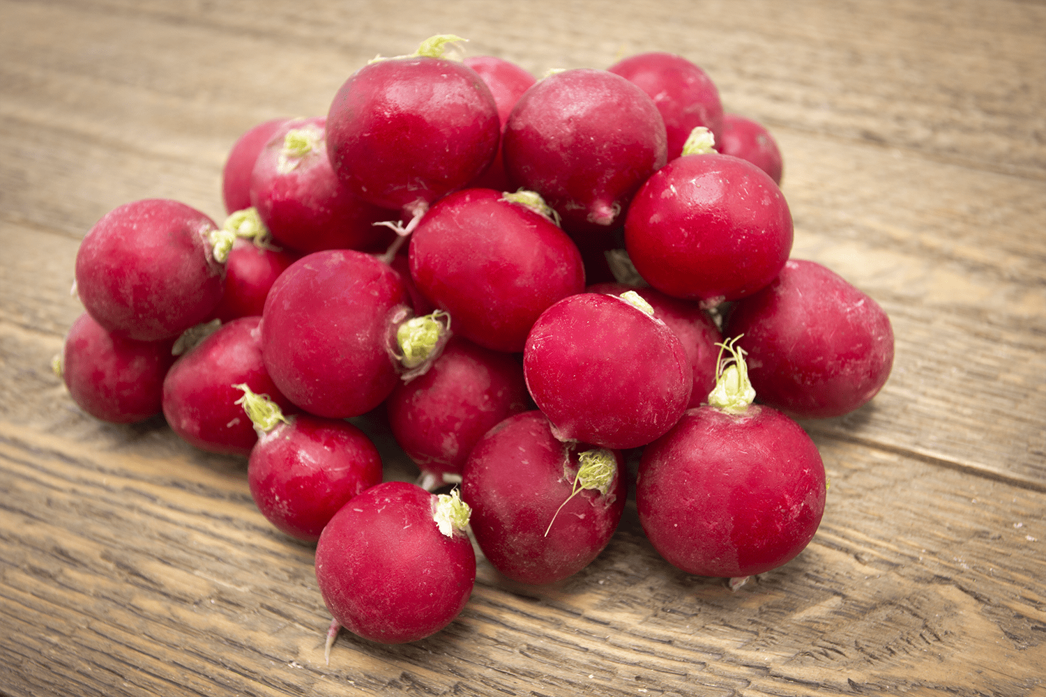 Fresh Organic whole Red Radish, 12oz Bag