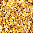 thumbnail image 4 of Candy Retailer Caramel Candy Corn 1 Lb, 4 of 5