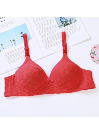 French Triangle Cup Bras for Women Push Up Small Breast Front