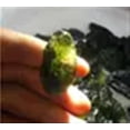 thumbnail image 4 of Moldavite Meteorite,Moldavite Czech Meteorite Stone Wire-Wrapped Necklace,Raw Green, 4 of 7