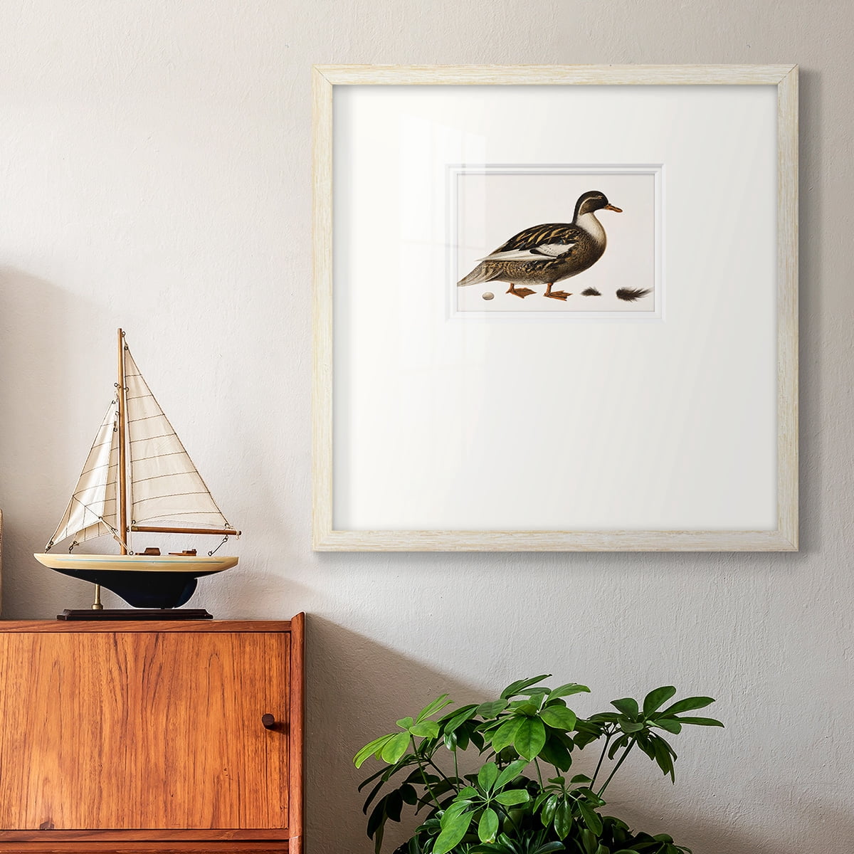 Golden MallardPremium Framed Print