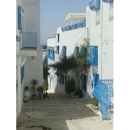 Canvas Print Blue Houses White Tunisia Arabic Stretched Canvas 10 x