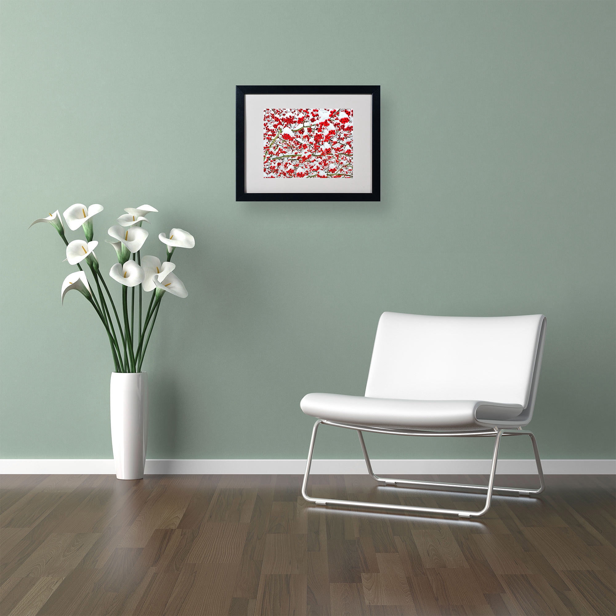 Trademark Fine Art "Winter Berries in the Snow" by Kurt Shaffer, Black Frame