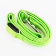thumbnail image 4 of Flmtop Pet Dog Glow LED Flashing Light Nylon Safety Anti-lost Leash Lead Rope Belt, 4 of 9