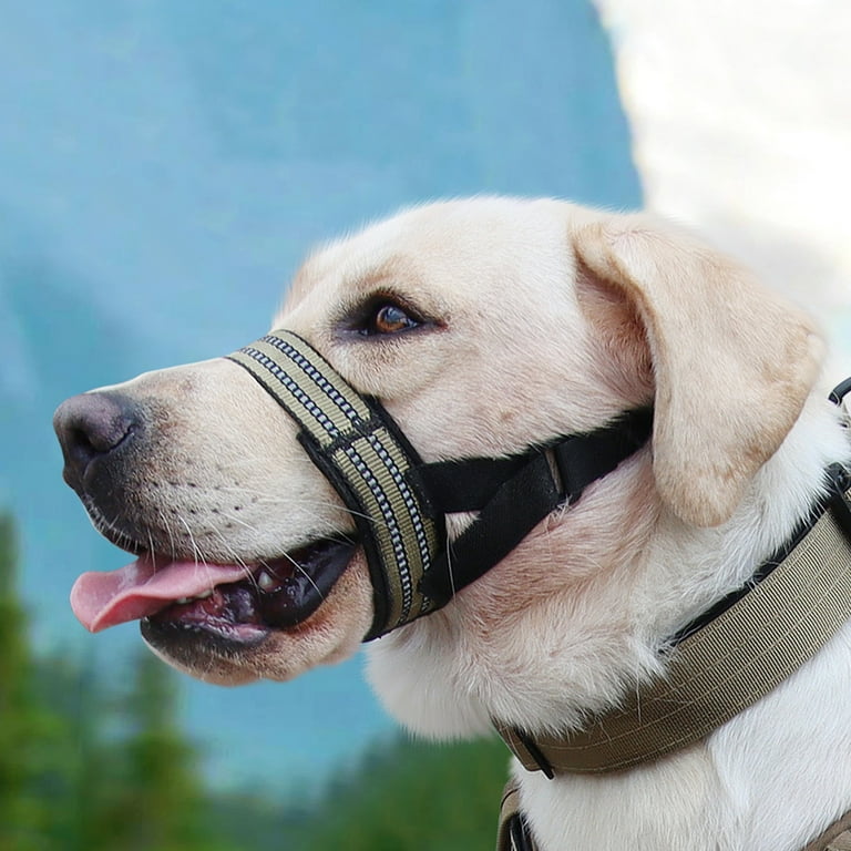 Easy to put on dog muzzle discount