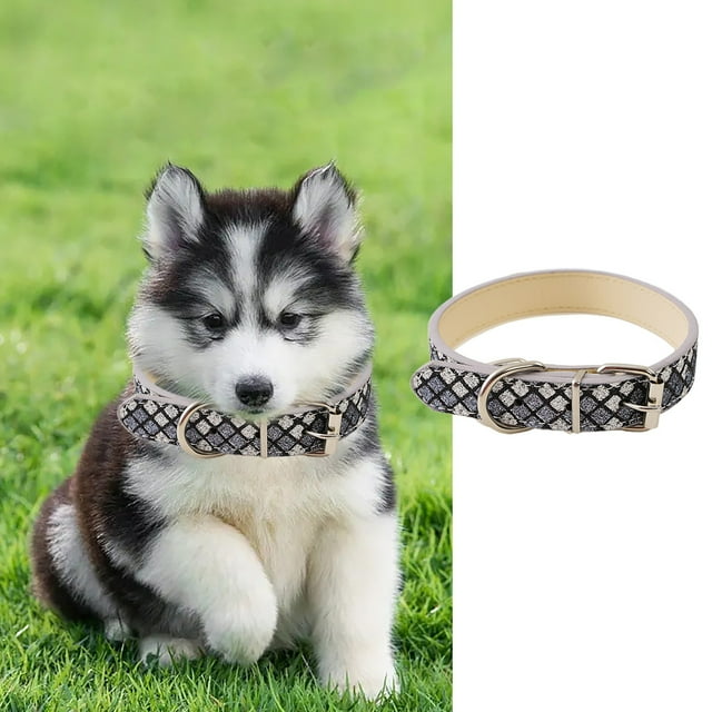 Cat Pet Accessory An All-Purpose Leather Collar with Lightweight Wind-Reflective Ring for Safe Evening Walks Suitable for Indoor and Outdoor