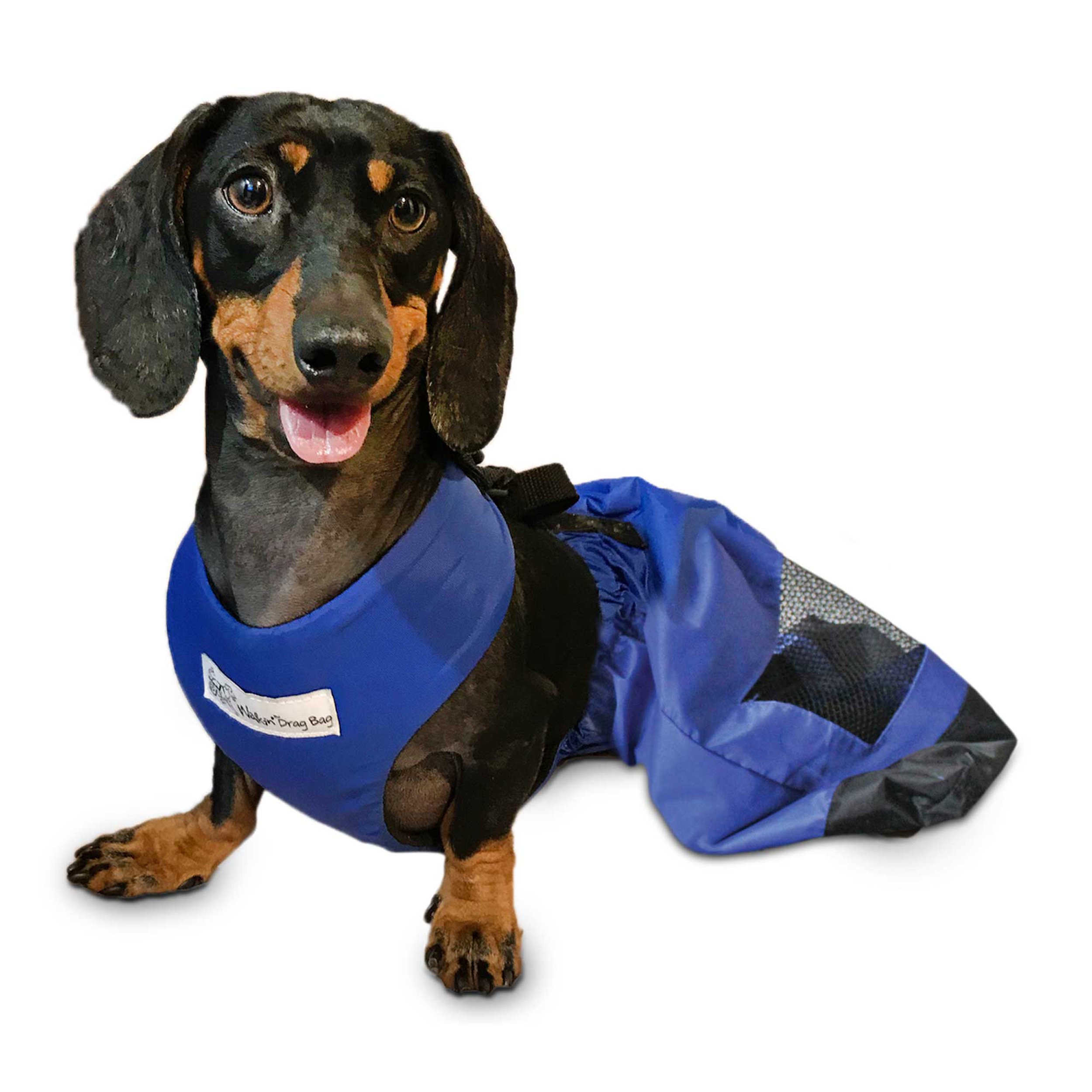 Walkin' Drag Bag Indoor Dog Wheelchair Alternative Protects Chest