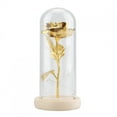 thumbnail image 2 of Cover Preserved Rose Flower LED Light With Glass Cover & Wooden Base Valentines'Day Wedding Gift, 2 of 8
