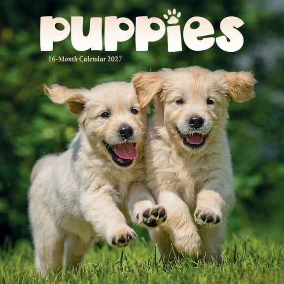 Carousel Calendars, Puppies 2027 Mini Wall Calendar
