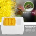 thumbnail image 2 of 1x Foam Queen Bee Mating Case Bees Copulation Beehive Tools Beekeepin UKGJ P3D9, 2 of 7