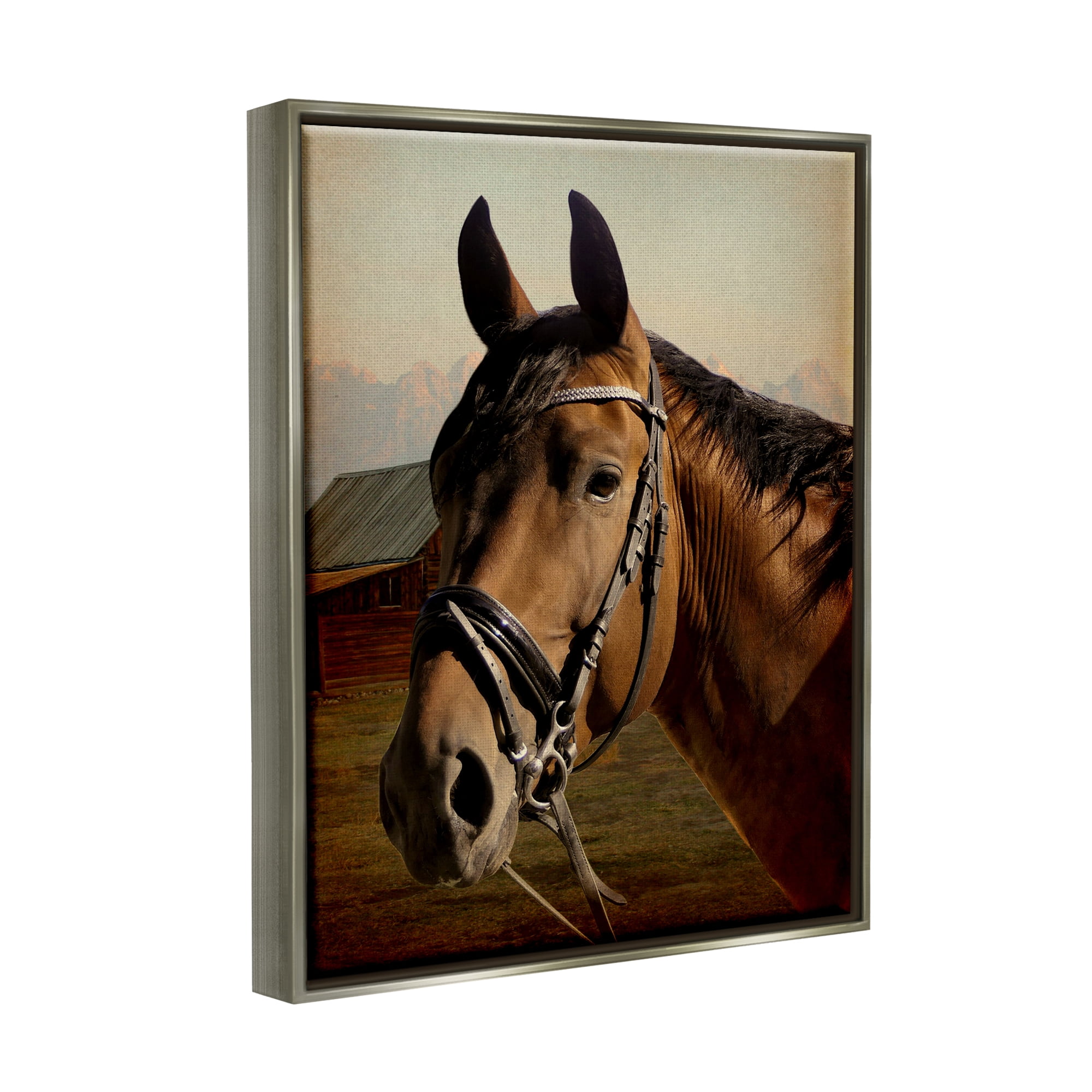 Stupell Industries Brown Horse Portrait Animals & Insects Photography Gray Floater Framed Canvas Art Print Wall Art, 25 x 31
