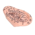 thumbnail image 1 of Stimulation Ear Acupuncture Model,6.7in Ear Acupuncture Model Ear Massage Acupuncture Model Ear Acupuncture Points Model Dependable Performance, 1 of 8