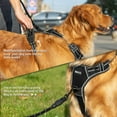 thumbnail image 4 of DMISOCHR No Pull Dog Harness and Leash Set Walking Breathable Mesh Large Dog Vest Harness Soft Padded, 4 of 5