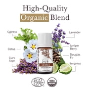 Cannes Essential Oil Diffusion Blend