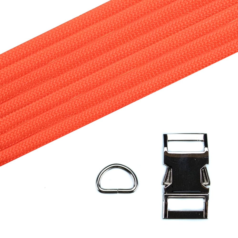 shiba inu and samoyed