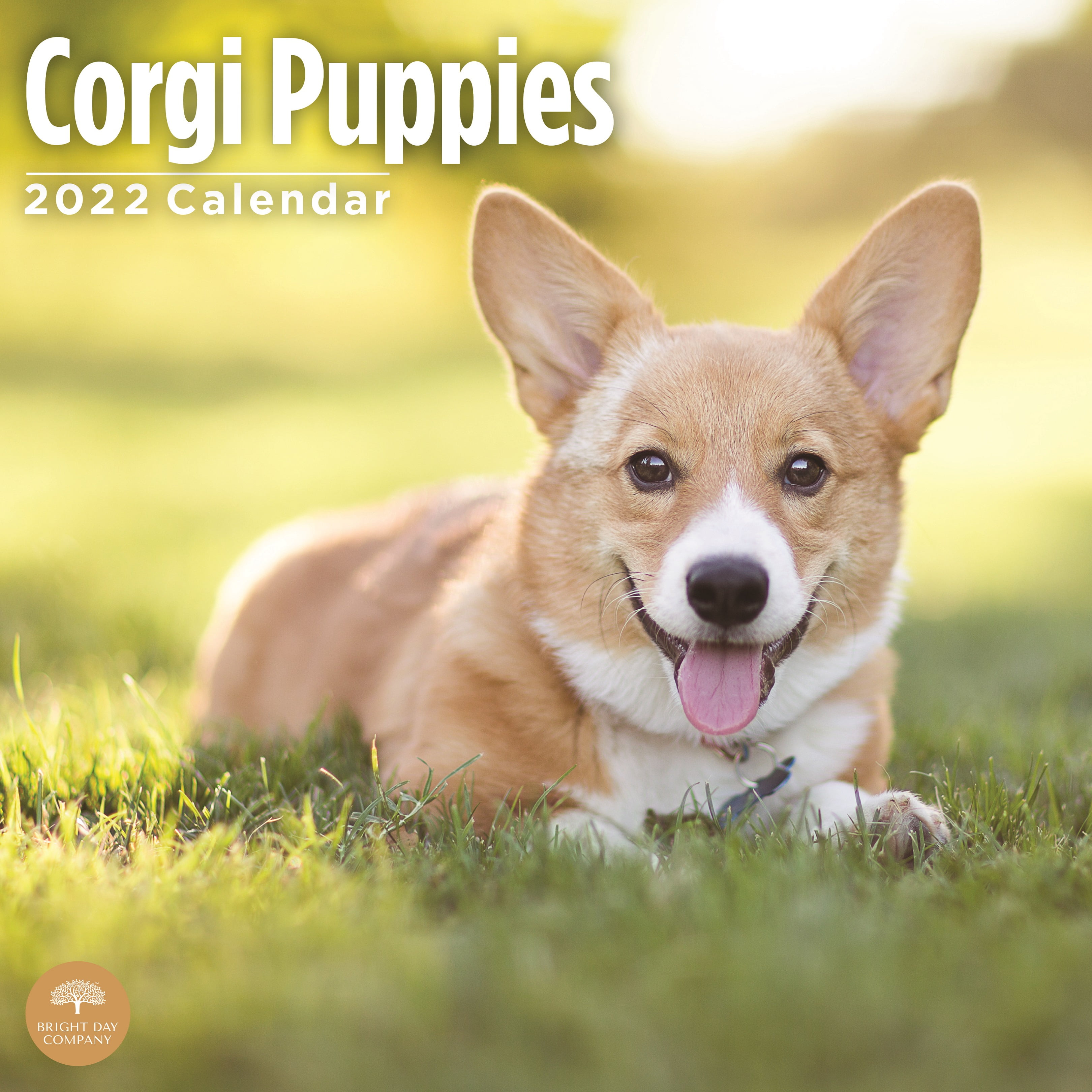 Welsh Dog 2019 DieCut Desktop Calendar GLA Desk Calendars
