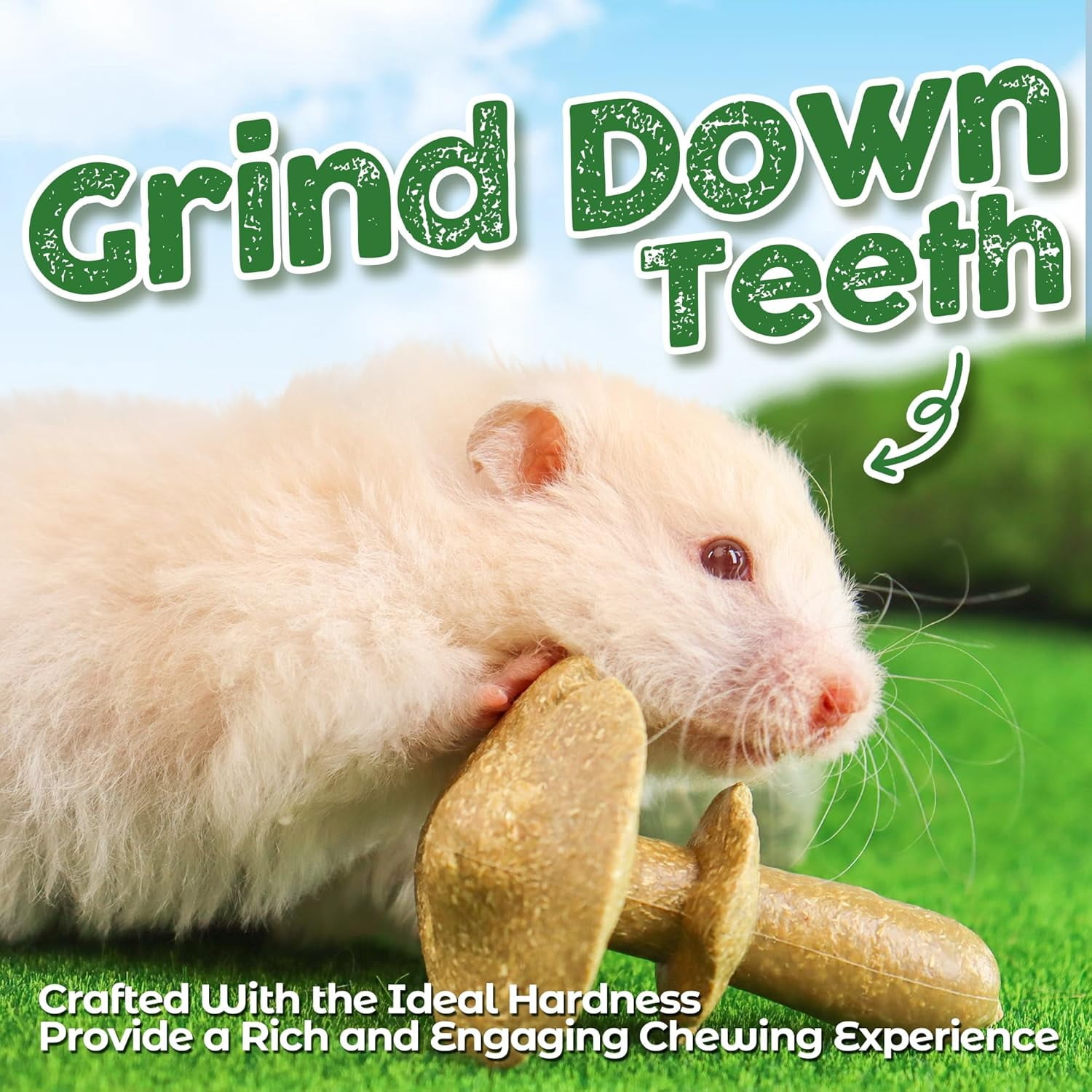 Guinea Pig Chew Toys, Prevent Teeth Overgrowth, Natural Timothy Grass & Vegetables, Hamster Chew Toys, Guinea Pig Toys, Chinchilla Toys, 4PCS, Grass Patch & Mushrooms
