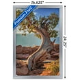 thumbnail image 3 of Beth Sheridan - Dead Horse Point Wall Poster, 14.725" x 22.375", Framed, 3 of 3