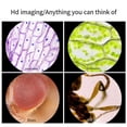 thumbnail image 4 of Microscopio de Bolsillo 160-80X para Niños Kit de Juguetes Científicos Educativo Portátil, 4 of 9