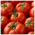 thumbnail image 3 of Everwilde Farms - 100 Marglobe Heirloom Tomato Seeds - Gold Vault Jumbo Bulk Seed Packet, 3 of 5