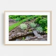 thumbnail image 2 of Primitive Stream Crossing at Dusk, York County PA - Pennsylvania Photography Garden Landscape Nature Scenic Water Botanical Rustic Unframed Wall Art Print 32 x 48 inches, 2 of 7