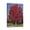 Tree (58), variant on 12x16 Modern Scenery Prints - Tree Inspired Drawn Artwork for Bedroom, Office, Kitchen Wall Decor - Stylish & Unique