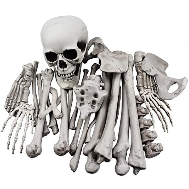 XONOR 28 Piezas de esqueletos y calaveras para decoración de Halloween