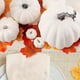 thumbnail image 2 of Calabaza artificial blanca decorativa de espuma para escritorio, 21 piezas, 2 of 5