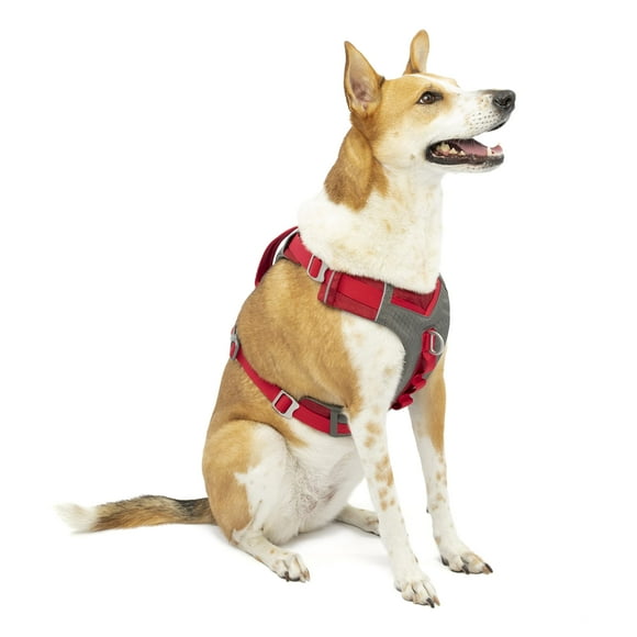 Kurgo Dog Harness for Medium, & Small Active Dogs, Pet Hiking Harness for Running & Walking, Everyday Harnesses for Pets, Reflective, Journe