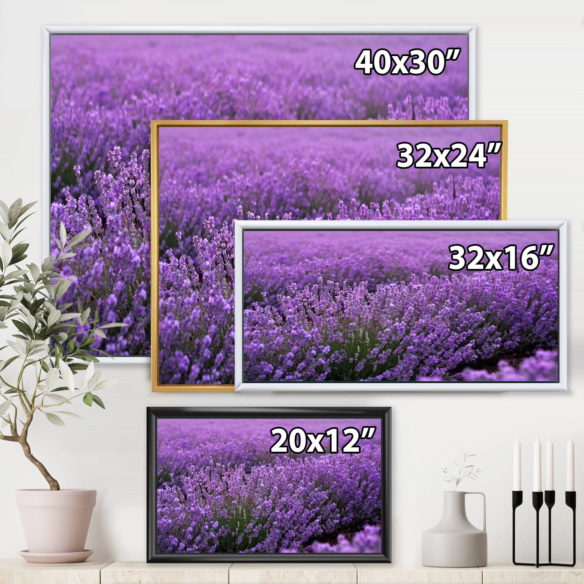 Designart 'Blooming Purple Lavender Meadow' Farmhouse Framed Canvas Wall Art Print