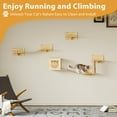 thumbnail image 4 of Waleaf 9 Piece Cat Wall Shelves for Indoor cats,Wall Mounted Cat Climber Set with House,Tunnel,Bridge,Steps,Scratcher,Bed, 4 of 7