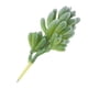thumbnail image 3 of Adornos de Bricoje Suculentas Artificiales de Moda para Accesorios de Fotografía de Decoración de Jardín en hogar 1pc 9 11cm perfecl Plantas Suculentas de Simulación, 3 of 6