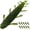 Pumpkin green, variant on Pristis 10 pcs Chariot Bug Soft Lures, Wacky Worms Baits for Bass Fishing, Durable Plastic Insect Swimbait Set for Texas Carolina Weightless Finesse Rig Kit Gear Saltwater Freshwater Pike Perch