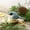 Multicolor C, variant on U.S Decorative Home Decoration Bird Figurine - Small Wood Bird Statue Art Handmade Carving Decoration Miniature Animals, Multicolor, One Size
