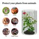 thumbnail image 4 of Jaula protectora metálica para plantas YEXEXINM, 30 x 60 cm, 18 unidades, 4 of 7