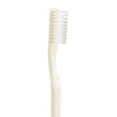 thumbnail image 2 of YWC-MDS136000 Brosses à Dents Adultes Sans Latex Emballées Individuellement (Lot de 144), 2 of 4