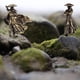 thumbnail image 3 of 2 figuras en miniatura, decoración de mesa, estatuas de espadachines, regalos decorativos creativos únicos, decoración para jardines y paisajes., 3 of 8