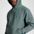 thumbnail image 5 of Champion Adult Sizing Iconic Embroidered Hoodie - Dark Forest, 5 of 6