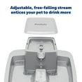 thumbnail image 4 of PetSafe Drinkwell 1 Gallon Pet Fountain - Automatic Dog and Cat Water Bowl, 4 of 8