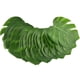 thumbnail image 2 of 30PCS Monstera simulada Decoración de hojas Realista Adorno de hojas verdes Plantas artificiales Adorno de hojas Suministros de decoración creativa para el hogar (Verde Tamaño mediano de 8 pulgadas), 2 of 5