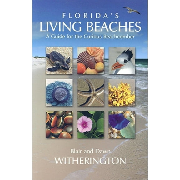 Pre-Owned Florida's Living Beaches: A Guide for the Curious Beachcomber (Paperback) 1561643866 9781561643868