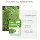 thumbnail image 4 of Mascarilla facial de arcilla Mascarilla facial de barro de arcilla antienvejecimiento Productos para el cuidado de la belleza (Matcha) Sywqhk Cuidado Belleza, 4 of 7