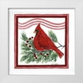 thumbnail image 1 of Shamp, Cindy 12x12 White Modern Wood Framed Museum Art Print Titled - Christmas Cardinal III, 1 of 4